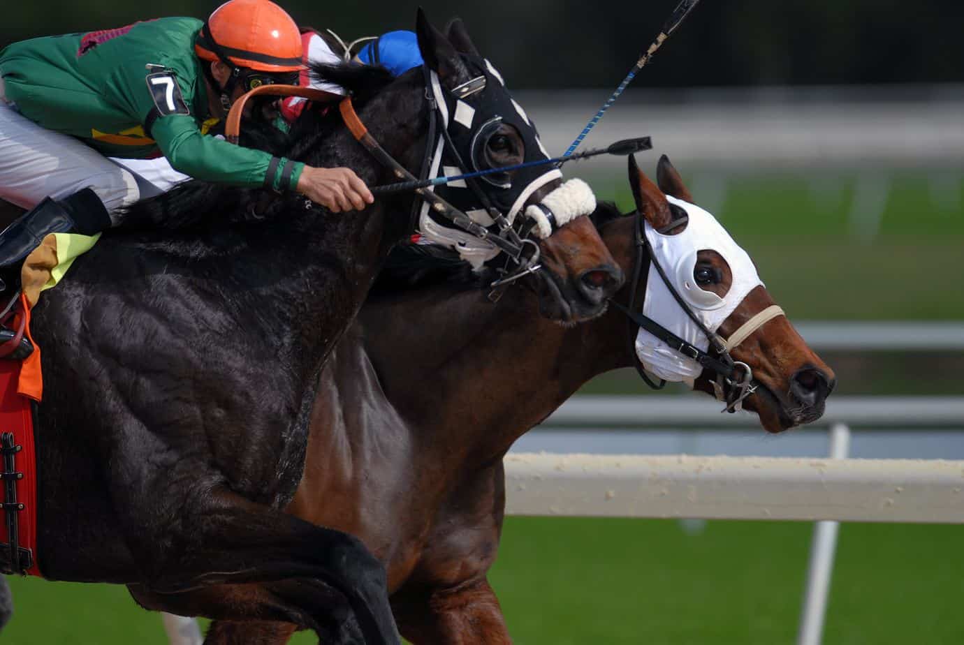 Horse Racing: Betting the Belmont Stakes - Picks