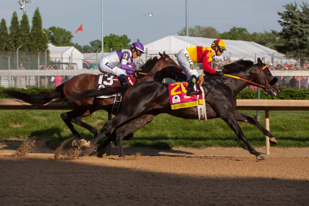 Expert Preakness Stakes betting picks, predictions, trifecta, exacta, win place show best bets with Crowded Trade and Midnight Bourbon on Saturday May 15 at Pimlico Race Course