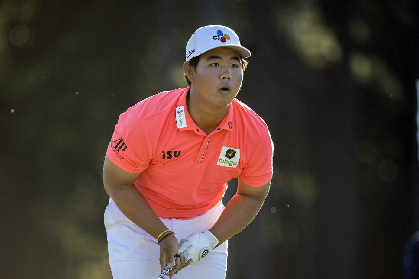 PGA DFS Strategy: Shriners Open Picks and Lineups