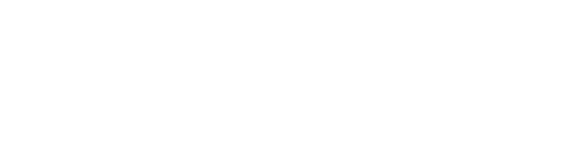 Stokastic_Logo_-01